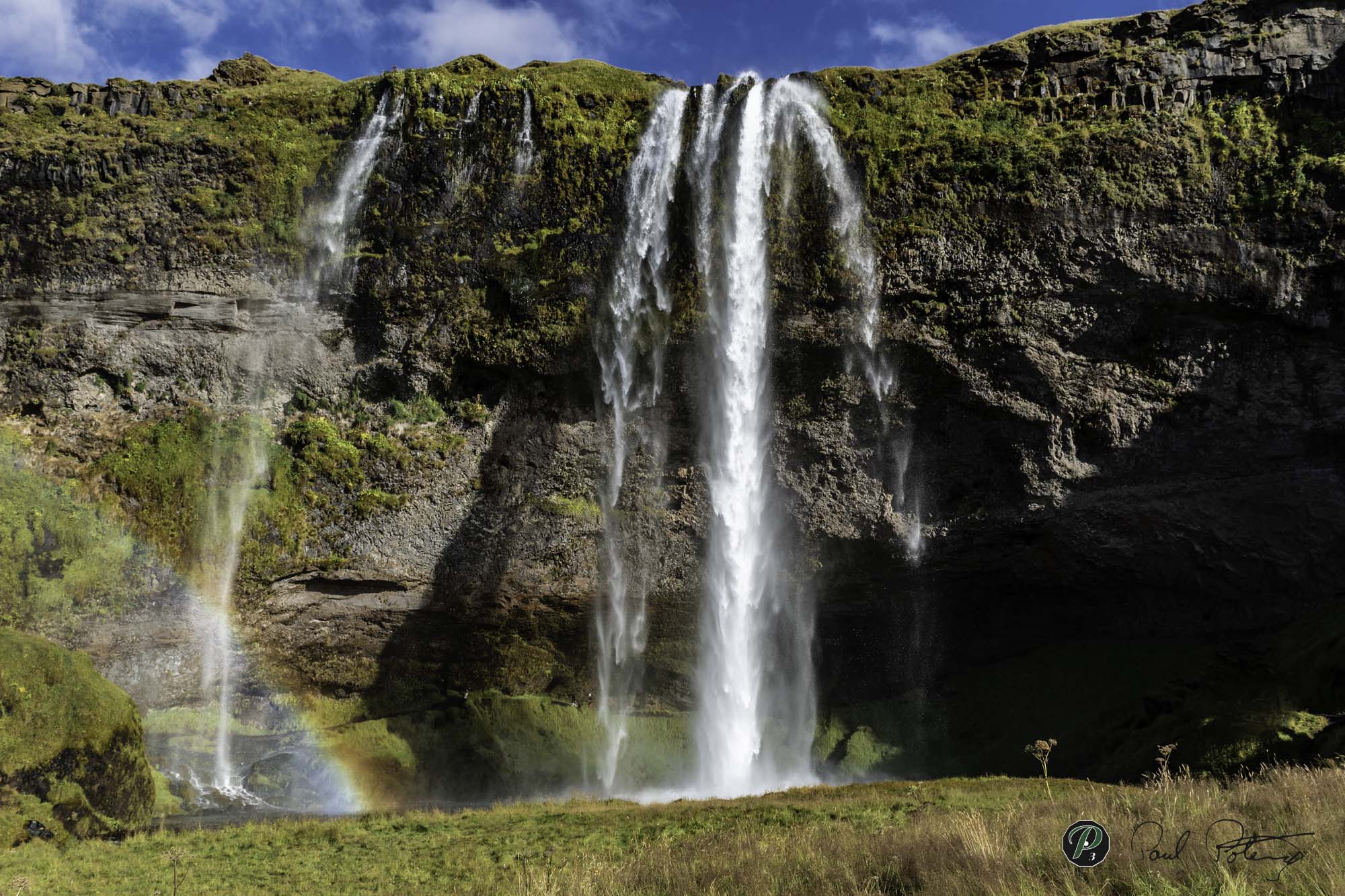  The Beginnings of Something Beautiful 