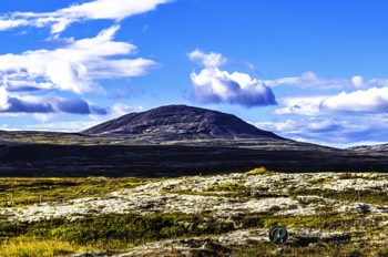  Icelandic Vista 