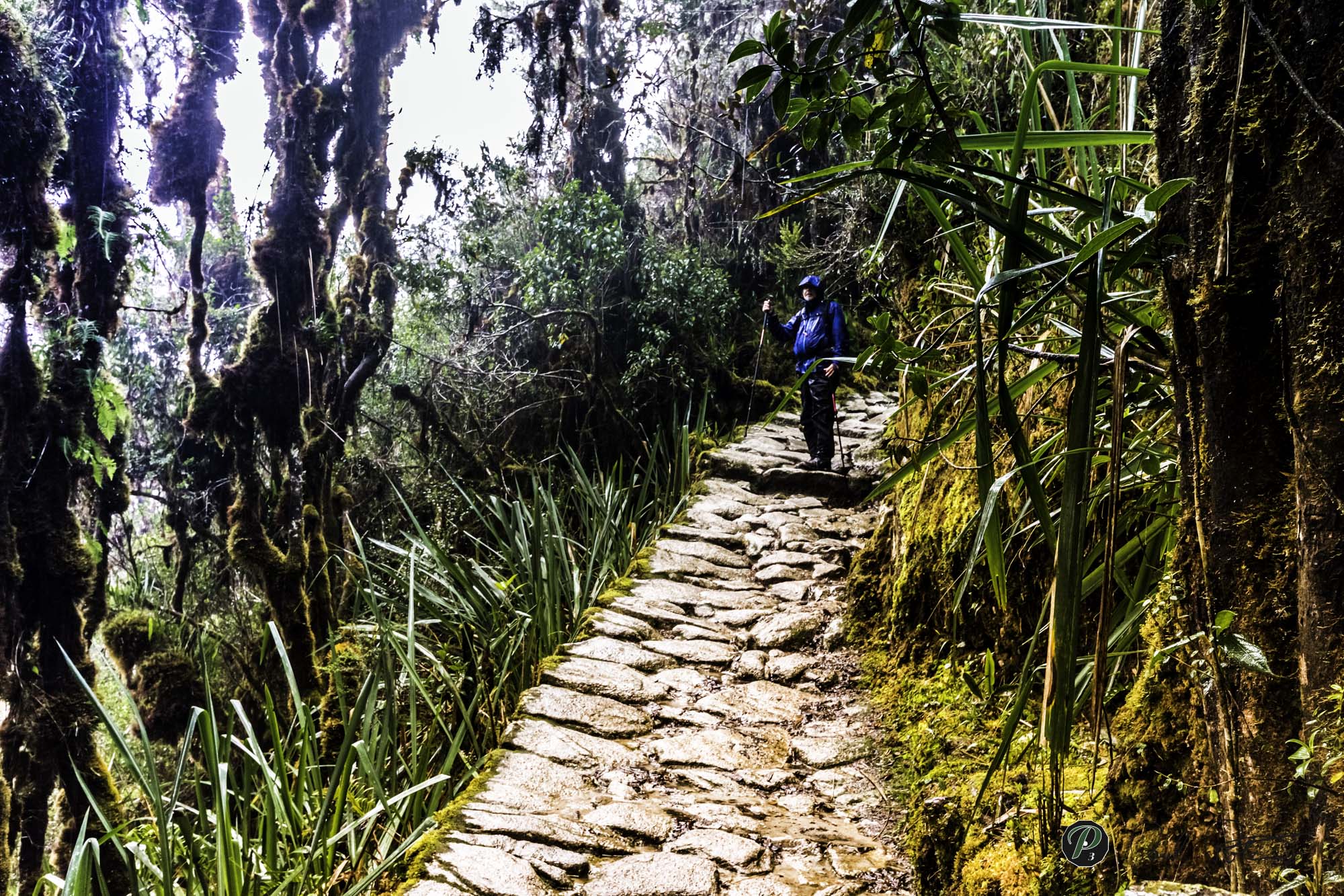  Hiking the Inca Trail 