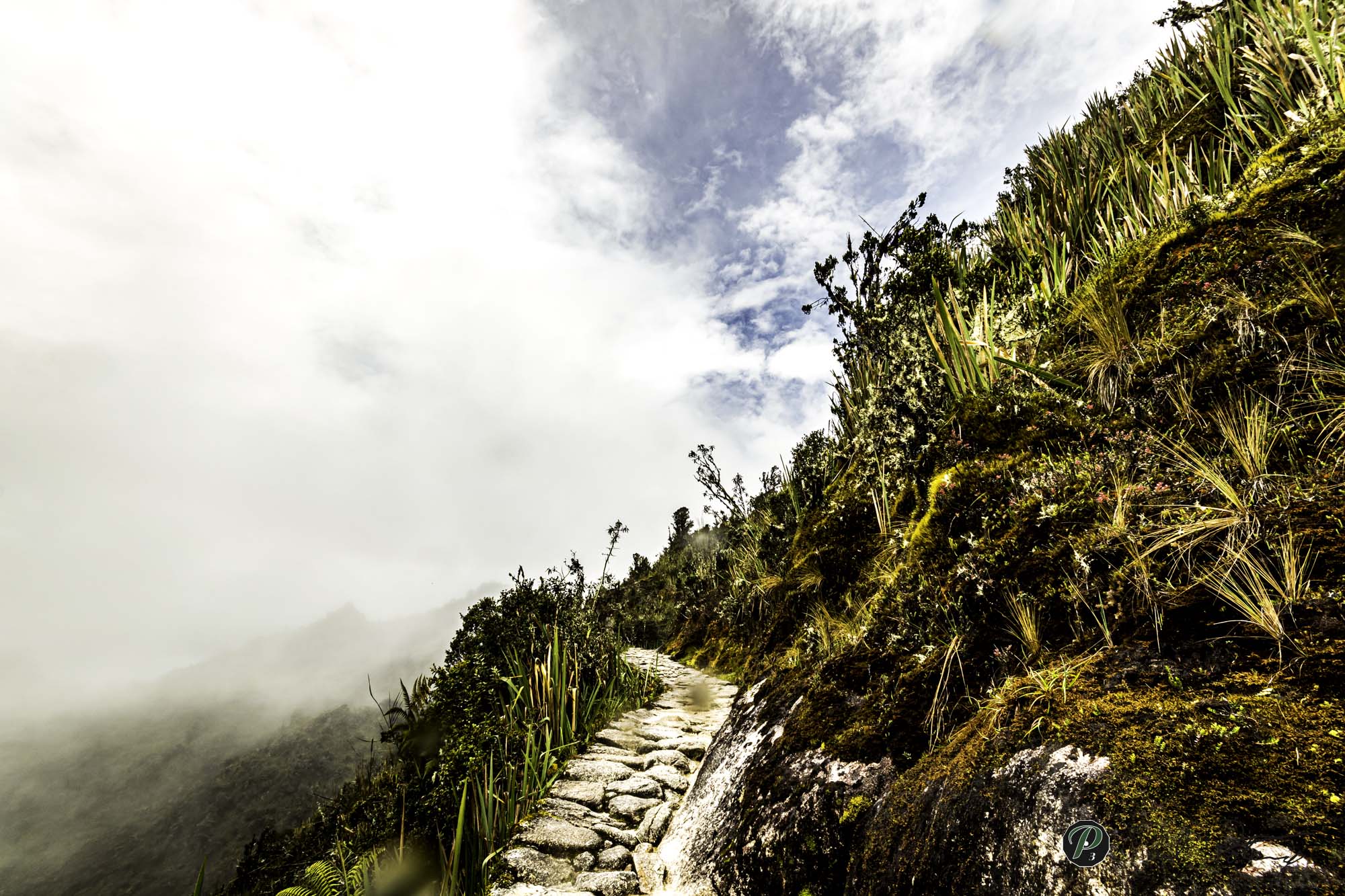  South America The Trail Narrows 