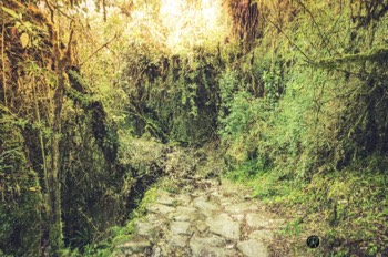  HIKING THE INCA TRAIL 