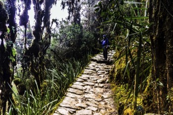  Hiking the Inca Trail 