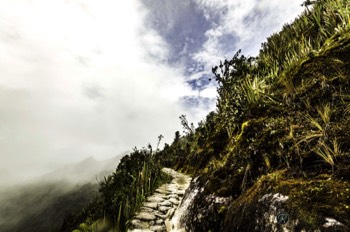  South America The Trail Narrows 