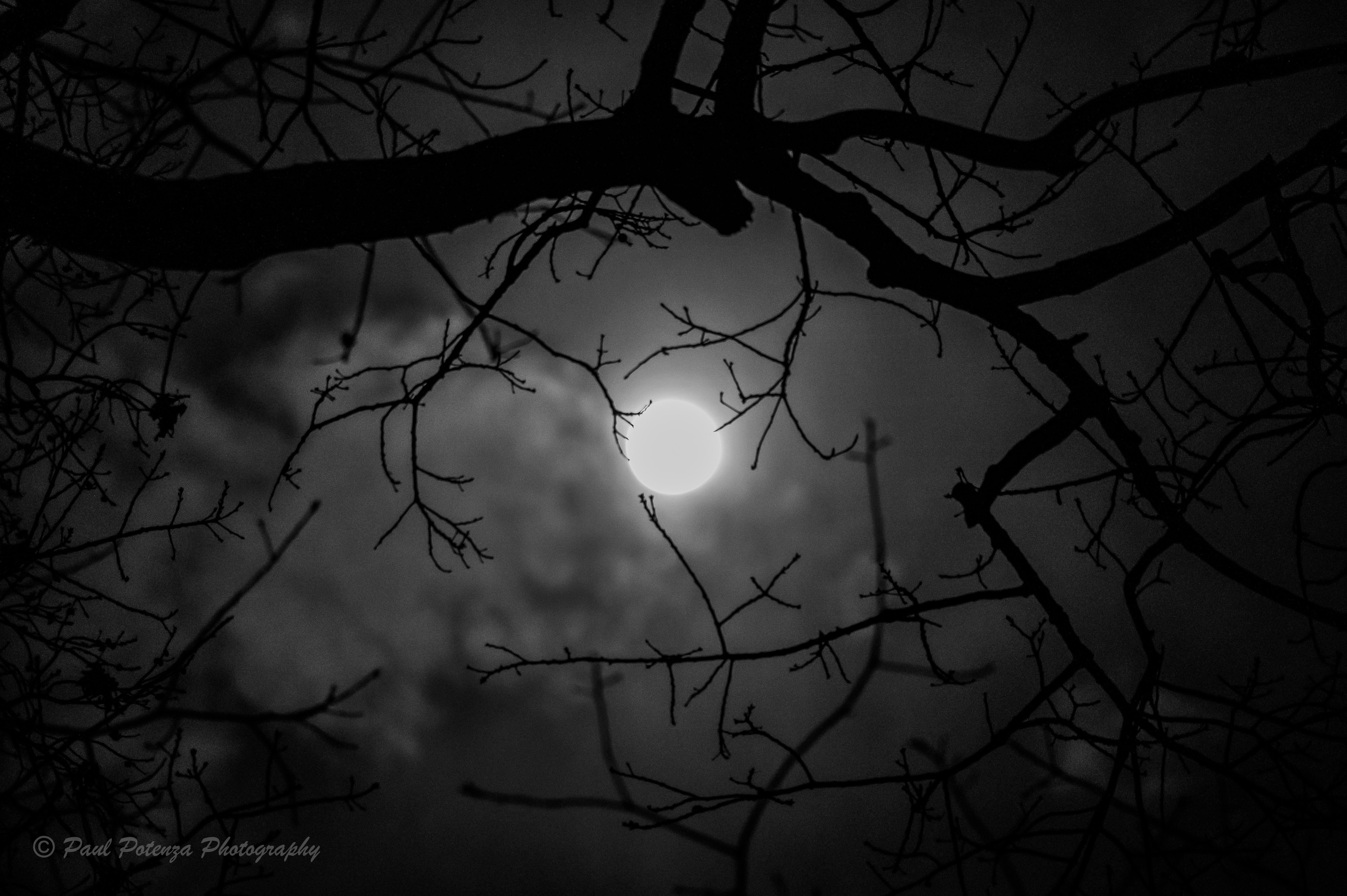  Illuminating The Night 