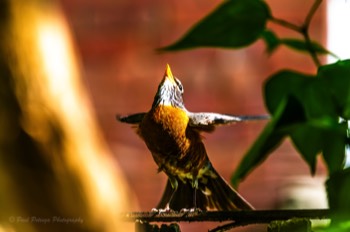  Soaking Up the Sun 