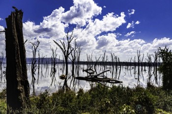  Lake Nakuru 