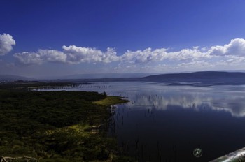  Lake Nakuru looking North 