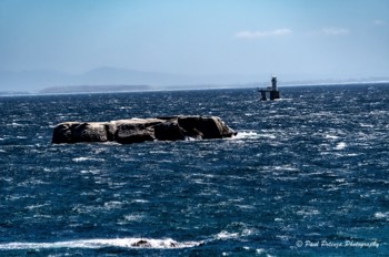  View From Cape Point 