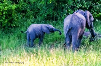  Exploring with Mom 