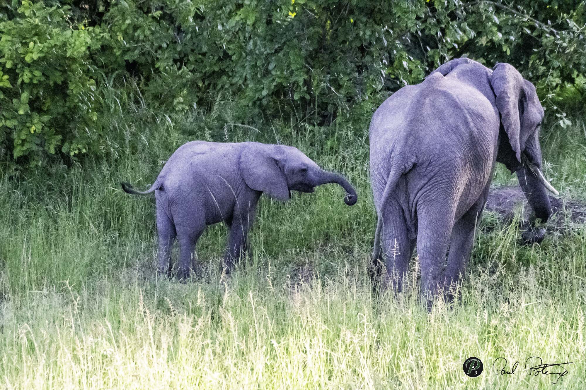  Exploring with Mom 