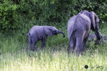  Exploring with Mom 