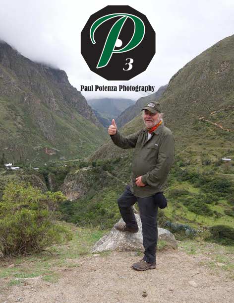 Paul Potenza 